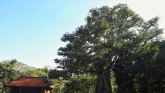 Cố đô Lam Kinh và tính sử thi hùng tráng