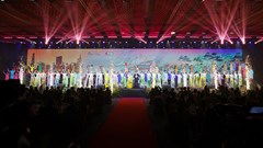 Ấn tượng Chương trình nghệ thuật “Đêm Việt Nam”