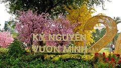 TP.HCM: “Đất vàng” bỏ trống “khoác áo” mới thành không gian văn hóa đầy sức sống