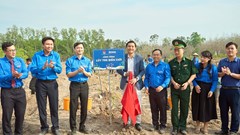 Amway Việt Nam phối hợp thực hiện công trình “Lũy tre biên giới” 