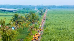 Giải chạy lan tỏa lối sống xanh 