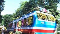 TP.HCM: Khai mạc Festival hoa lan lần 3 năm 2025