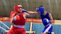 Gần 500 VĐV dự tranh giải Boxing trẻ toàn quốc 2025