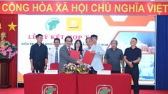 TP.HCM: Tăng cường hợp tác phát triển Roller Sports