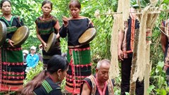 Chuyện tình hoa B’Lang trên cao nguyên Buôn Choah