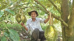 Phát triển kinh tế từ mô hình chăn nuôi kết hợp trồng trọt