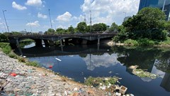 Bao giờ ô nhiễm ở những dòng sông mới được ngăn chặn?