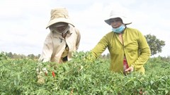  Nâng cao quyền năng kinh tế cho phụ nữ DTTS