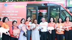  Đà Nẵng tham gia sáng kiến “Thành phố an toàn cho phụ nữ và trẻ em”