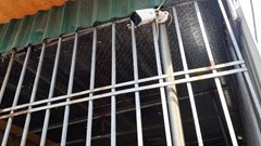 Về vùng quê “phạt nguội” người để chó thả rông