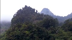 Chỉ tại không ai đầu tư!