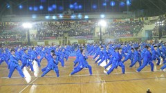  Võ Việt ngày càng lan tỏa