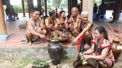 Lễ trỉa lúa của người Brâu