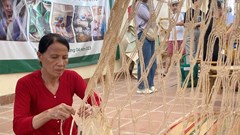 Rộn ràng mùa hoa ngô đồng đỏ