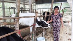 Động lực để phát triển kinh tế, giảm nghèo bền vững