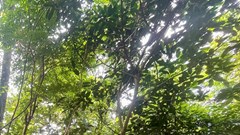 Báo động nguy cơ sạt lở đất, đá