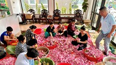  Phát huy giá trị hoa sen Tây Hồ