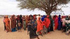 Cô dâu nhí tăng vọt do… biến đổi khí hậu