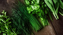 Thảo mộc bạn có thể trồng trong nhà bếp của mình mà không cần đất