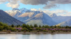 New Zealand tăng gần gấp ba thuế du lịch đối với du khách quốc tế