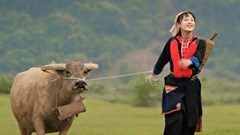 Biên kịch thiếu trải nghiệm cuộc sống?