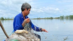  Miền Tây mùa nước nổi