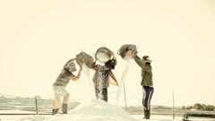  Phim Việt “thừa thắng xông lên”