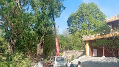 Tuyệt đối không được chủ quan