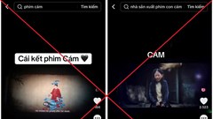 Cần những cái bắt tay xuyên biên giới