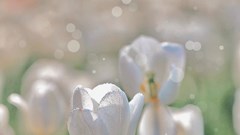 20 điều quan trọng nên nói với con gái trước khi con 13 tuổi