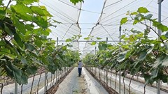 Đoàn kết giúp nhau làm giàu và giảm nghèo bền vững