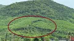 Người dân Phú Gia sống thấp thỏm ở vùng “báo động đỏ” sạt trượt