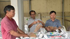 Thành công từ mô hình sản xuất đũa gỗ