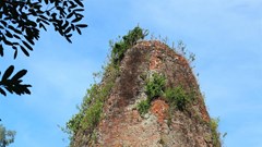 Cấp thiết bảo tồn di tích tháp Chăm 1000 năm tuổi