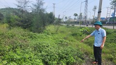 Tổ chức kiểm điểm, làm rõ trách nhiệm tập thể, cá nhân liên quan