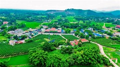 Tiềm năng lớn nhưng khai thác chưa hiệu quả