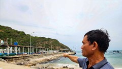 Bình Định đẩy nhanh khắc phục bến cá gần 37 tỉ đồng bị sụt lún
