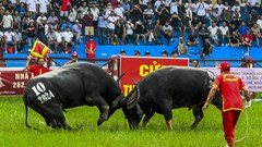 Chú trọng những giải pháp trọng tâm, trọng điểm