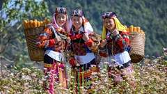 Tôn vinh những giá trị đặc sắc của Cao nguyên đá Đồng Văn