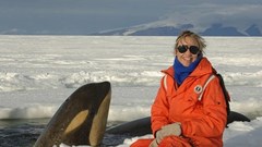  Bùng nổ du lịch đến Nam Cực