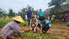 Thúc đẩy phát triển bền vững du lịch nông thôn