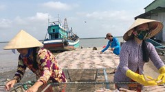  Phụ nữ Khmer vươn lên nhờ sáng tạo và hỗ trợ cộng đồng