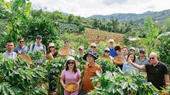 Khai thác tiềm năng phát triển du lịch nông thôn