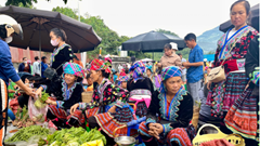 Chợ Phiên Sin Suối Hồ – Bản Hòa Tấu Văn Hóa Giữa Đại Ngàn Tây Bắc