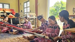  Phú Yên thí điểm xây dựng các mô hình du lịch nông thôn