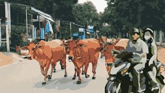 Thấy sai, thì nói lời xin lỗi