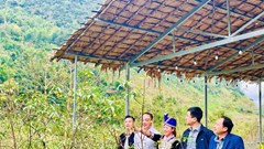 Trao sinh kế, tạo động lực