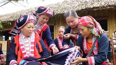  Thực hiện hiệu quả các nhiệm vụ của Dự án 6