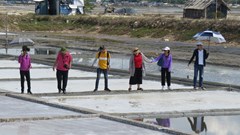  Tự hào nghề muối Sa Huỳnh