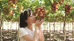 Du lịch xanh nơi miền nắng gió…